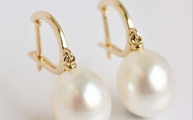 No Reserve Price - 14 kt. Yellow Gold- 10x11mm Australian South Sea Pearl Drops - Earrings