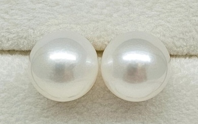 No Reserve Price - South Sea Pearls, Round 10 -11 mm - 14 kt. White gold - Earrings