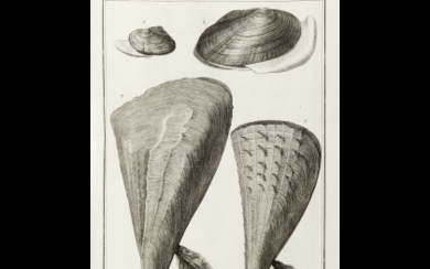POLI, Giuseppe Saverio (1746-1825) - Testacea utriusque Sicilae eorumque historia et anatome tabulis aeneis illustrata. Parma: Giambattista Bodoni, 1791-95. A...