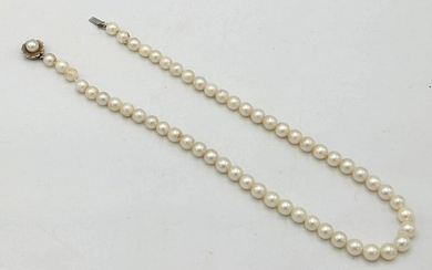 Pearls with 14K Gold Clasp.