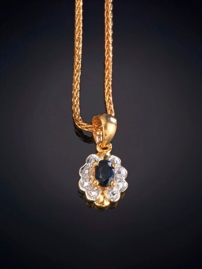 SAPPHIRE ROSETTE PENDANT ON A WHITE GOLD FRAME AND 18K YELLOW GOLD CHAIN. Price: 175,00 Euros. (29.118 Ptas.)