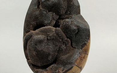 Septaria egg-shaped - 20×13.5×13.5 cm - 4460 g