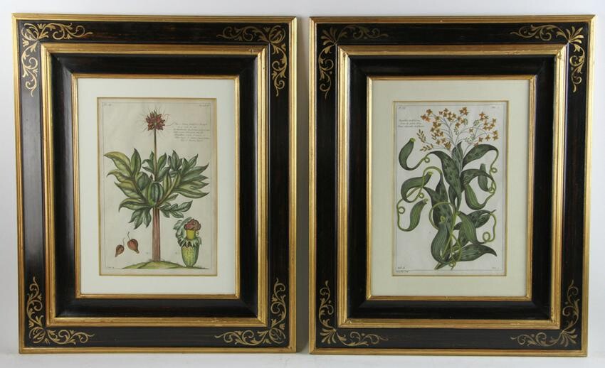 Set of Hand Colored And Engraved Prints, Dupin Circa