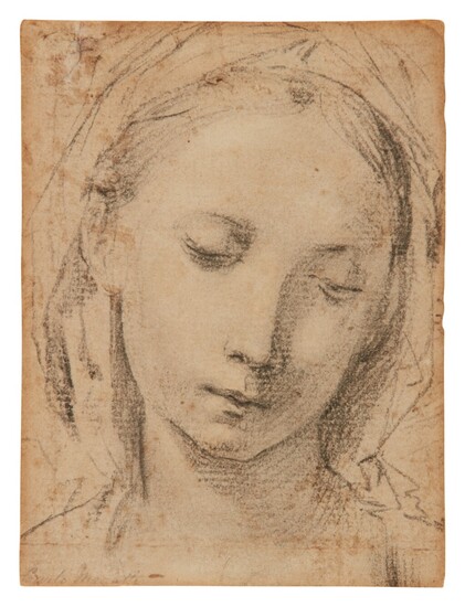 Study for the head of the Virgin, Sienese School, 17th Century