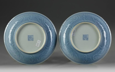 TWO CHINESE DRAGON DISHES, CHINA, QING DYNASY