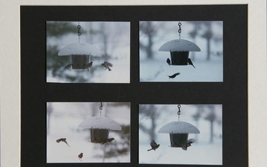 Theodore Cohen, Winter Birdhouse Study, Photograph