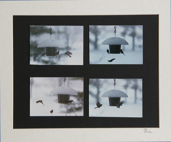 Theodore Cohen, Winter Birdhouse Study, Photograph