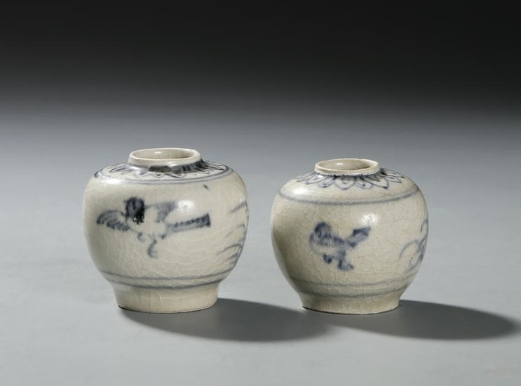 Two Chinese Blue and White Jars
