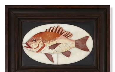 Richard Blow, Untitled (Red Snapper)