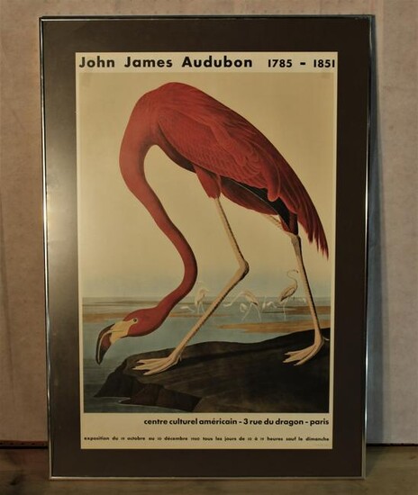 1960 John James Audobon - American Flamingo