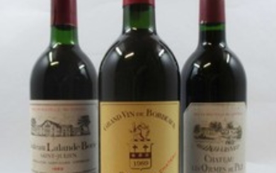 9 bouteilles 5 bts : CHÂTEAU LALANDE BORIE 1989 Saint Julien (légèrement bas, étiquettes fanées)
