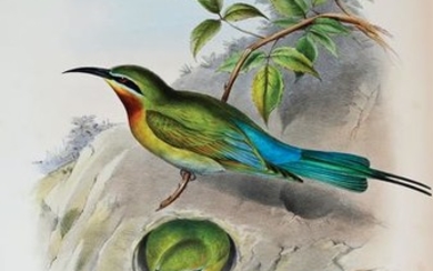 Gould's Birds of Asia