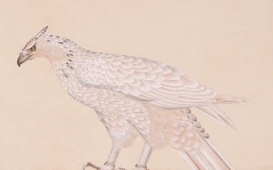A CHINESE EAGLE PAINTING ON PAPER, MOUNTED, MA JIN MARK