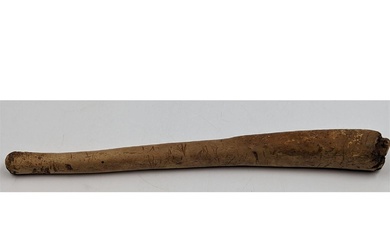 An Early Walrus Oosik (Penis Bone)