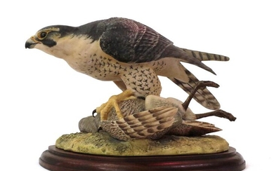 Border Fine Arts 'Peregrine Falcon' (Style One), model No. L01...