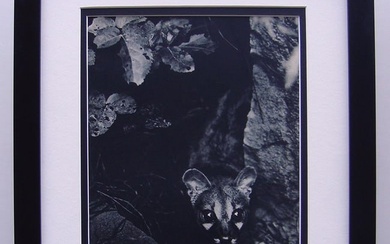 Brassai The Hunt 1930's photogravure