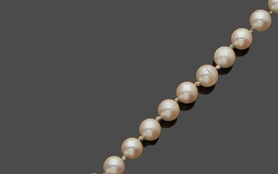 Collier de perles choker, le fermoir en or... - Lot 62 - L'Huillier & Associés