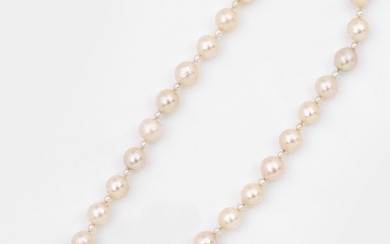 Collier de perles serti de diamants en or blanc, 8 k. Collier de perles à...