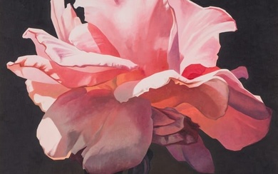 Ed Mell Pink Rose