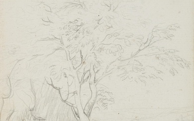 G. CANELLA (1788-1847), Sketch of a tree in front of a river landscape, around 1810, Pencil