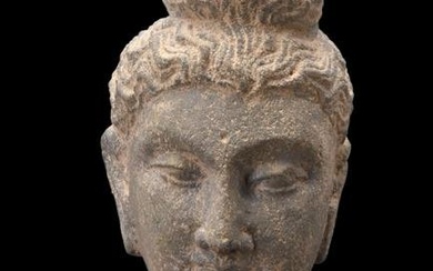 GANDHARAN SCHIST HEAD OF BUDDHA