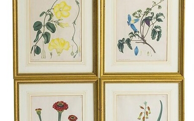 T Bensley Botanical Prints, Set of Four