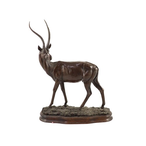 Tim Nicklin. A bronze model of a Grants gazelle standing upo...