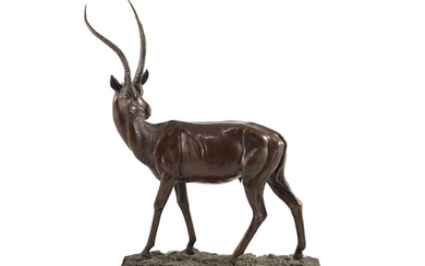 Tim Nicklin. Un modèle en bronze d'une gazelle des Géantsdebout sur une base naturaliste, signé...
