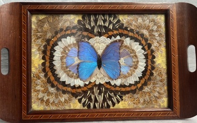 Vintage Deco Real Butterfly Wing Art Wood Inlaid Tray Iridescent Blue Brazil