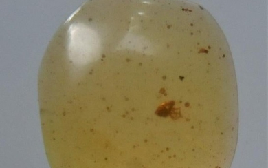 100 MILL YEARS OLD BURMITE AMBER WITH INSECT INCLUSION