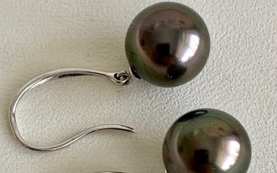 14 kt. Tahitian pearls - Earring