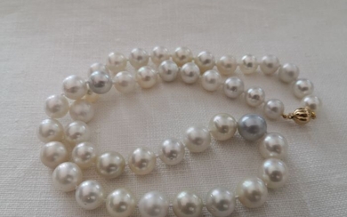 18 kt. South sea pearls, 10-12 mm - Necklace