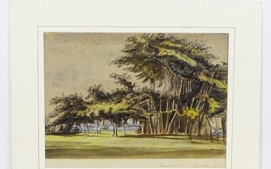 19th century, Anglo-Indian School, Watercolour, A study of a...