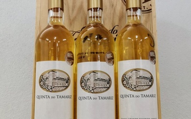 2013 Quinta do Tamariz, Grande Escolha - Vinho Verde DOC - 3 Bottles (0.75L)