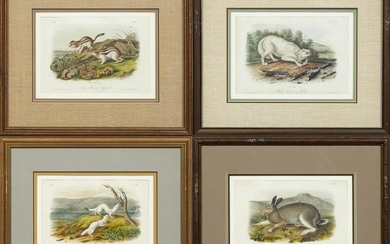 John James Audubon (1785-1851), "Polar Hare," No. 7