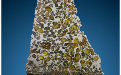 Esquel Meteorite Slice Pallasite, PMG Chubut, Argentina Found:...