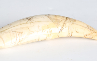 A 19th century engraved scrimshaw whale's tooth, dated '1837' and decorated with ship