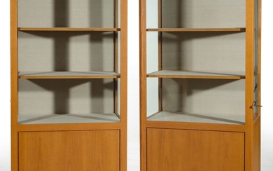 A PAIR NICE QUALITY CUSTOM COLLECTION DISPLAY CABINETS