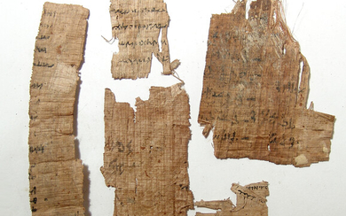 A group of several ancient papyrus fragments