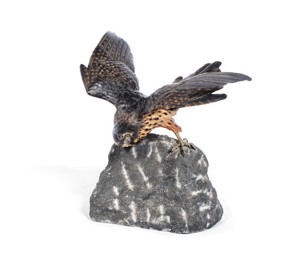 An Austrian cold painted bronze model of a sparrow hawk perched on a rock