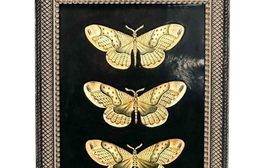Anna Weatherley Hand Painted Porcelain Butterfly Plaque, Framed