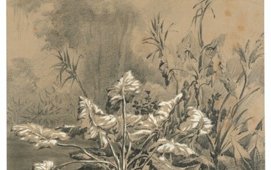 Auguste Borget (1809-1877), A study of aquatic plants, Luzon (Philippines), and two other landscapes, probably views taken in the Philippines