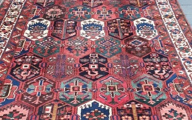 Bachtiar - Carpet - 315 cm - 218 cm