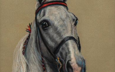Billie Nipper (American, 1929-2015) Portrait Head of a Grey Horse with White Mane