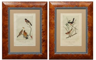 John James Audubon (1785-1851, Haitian/American), Two