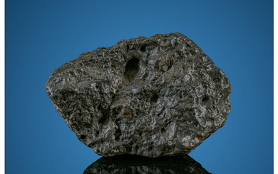 NWA 13788 Complete Lunar Meteorite Lunar (melt breccia) Ouargla,...