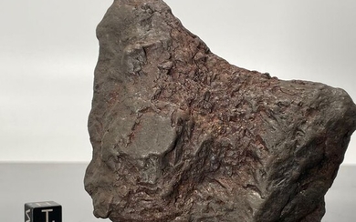 Nantan Iron Meteorite, China, VERY RARE,, DO NOT BOOK !!!!! - 432 g