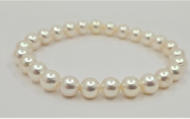 No Reserve Price - 6.5x7mm Akoya pearls - Bracelet