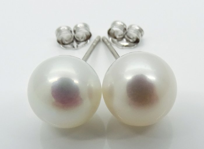 No Reserve Price - Akoya Pearls, Round 8,5 -9 mm - 18 kt. White gold - Earrings