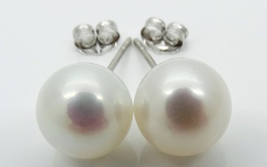 No Reserve Price - Akoya Pearls, Round 8,5 -9 mm - 18 kt. White gold - Earrings
